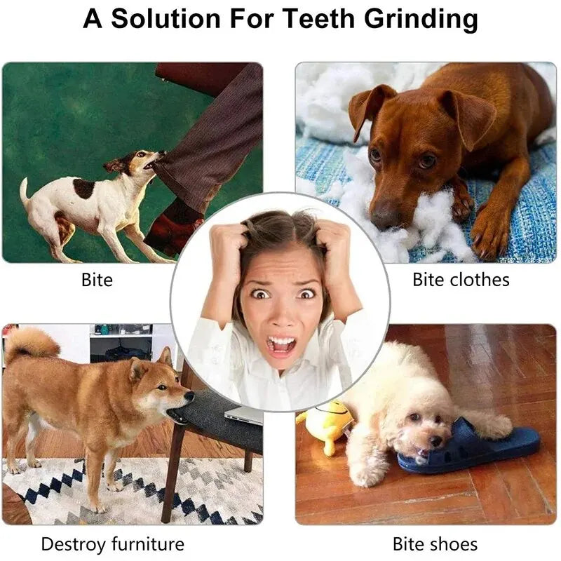 Treat Dispensing Dog Toy Ball | MyPupBuddy