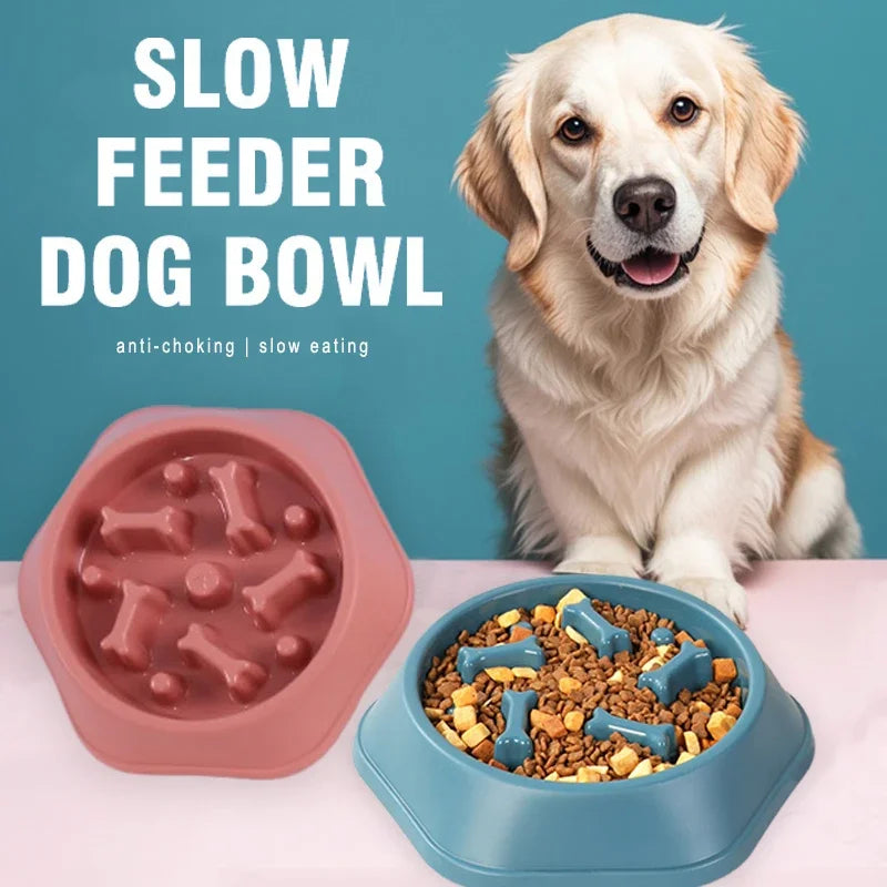 Slow Feeder Dog Bowl — Anti-Choke Puzzle Bowl | MyPupBuddy
