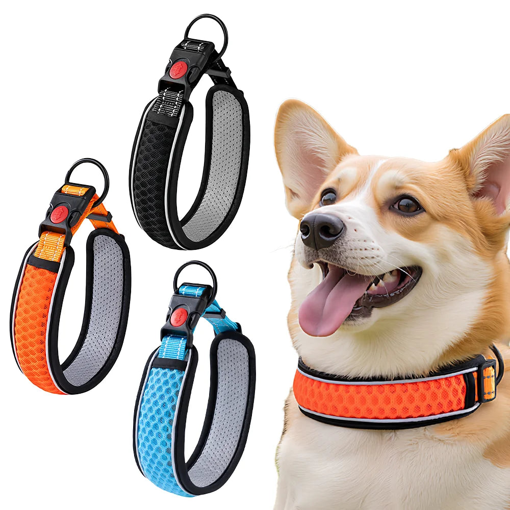 Adjustable Dog Collar — Soft, Durable & Comfortable Everyday Wear | MyPupBuddy