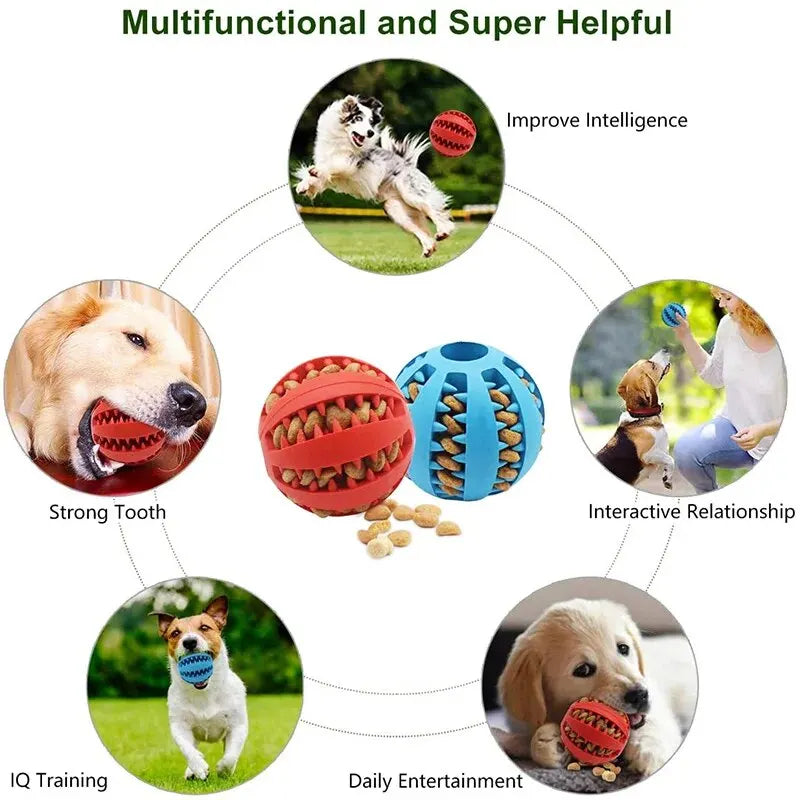 Treat Dispensing Dog Toy Ball | MyPupBuddy