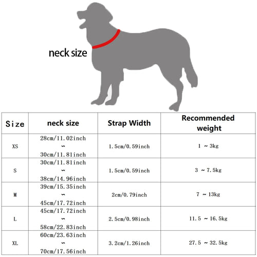 Adjustable Dog Collar — Soft, Durable & Comfortable Everyday Wear | MyPupBuddy