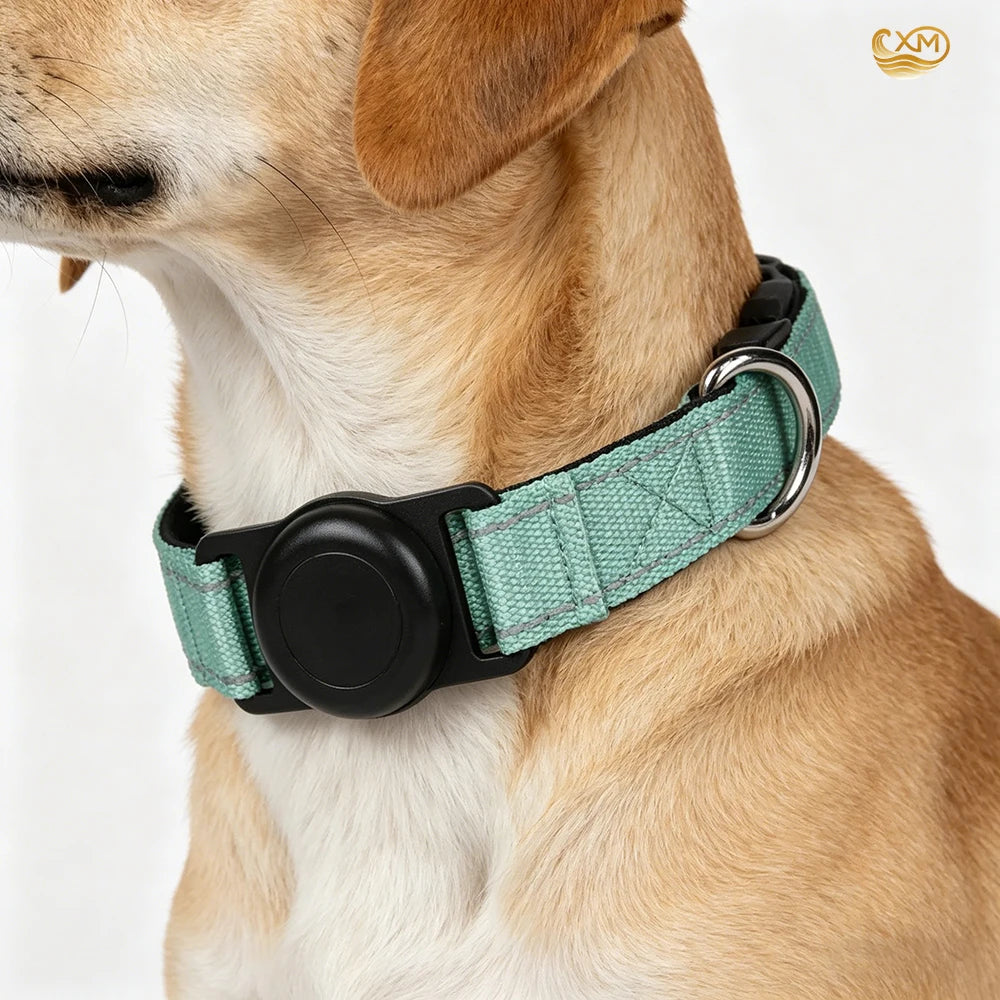 Dog Collar with AirTag Holder — GPS-Ready Safety Collar| MyPupBuddy