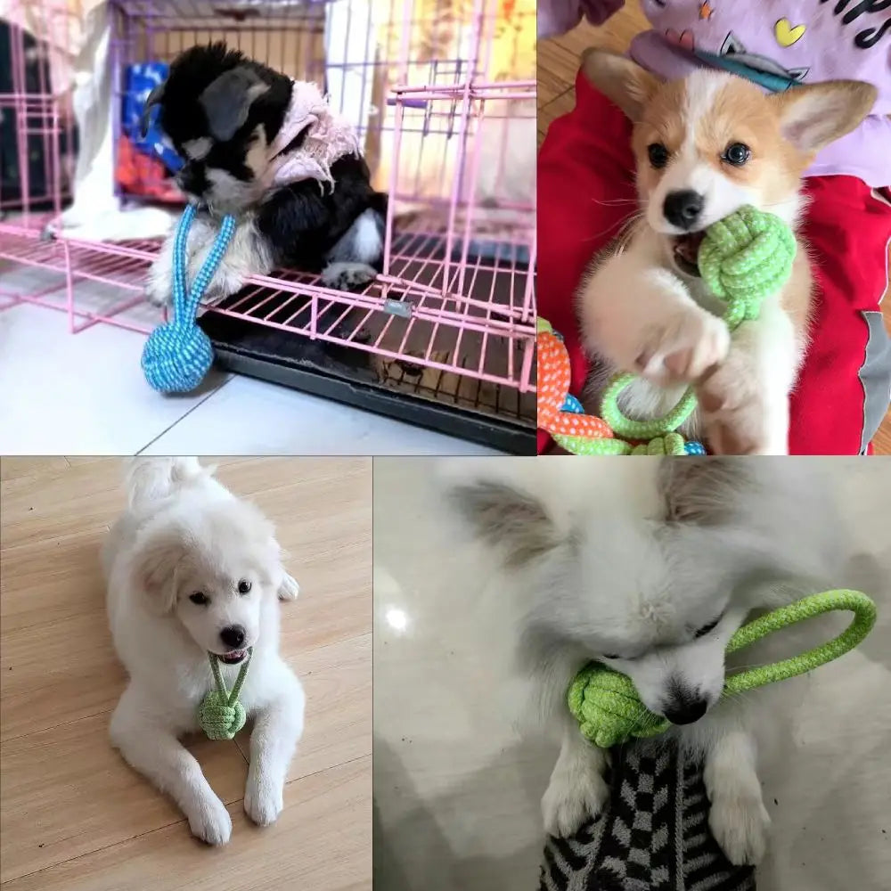 Durable Dog Knot Chew Toy — For Aggressive Chewers | MyPupBuddy