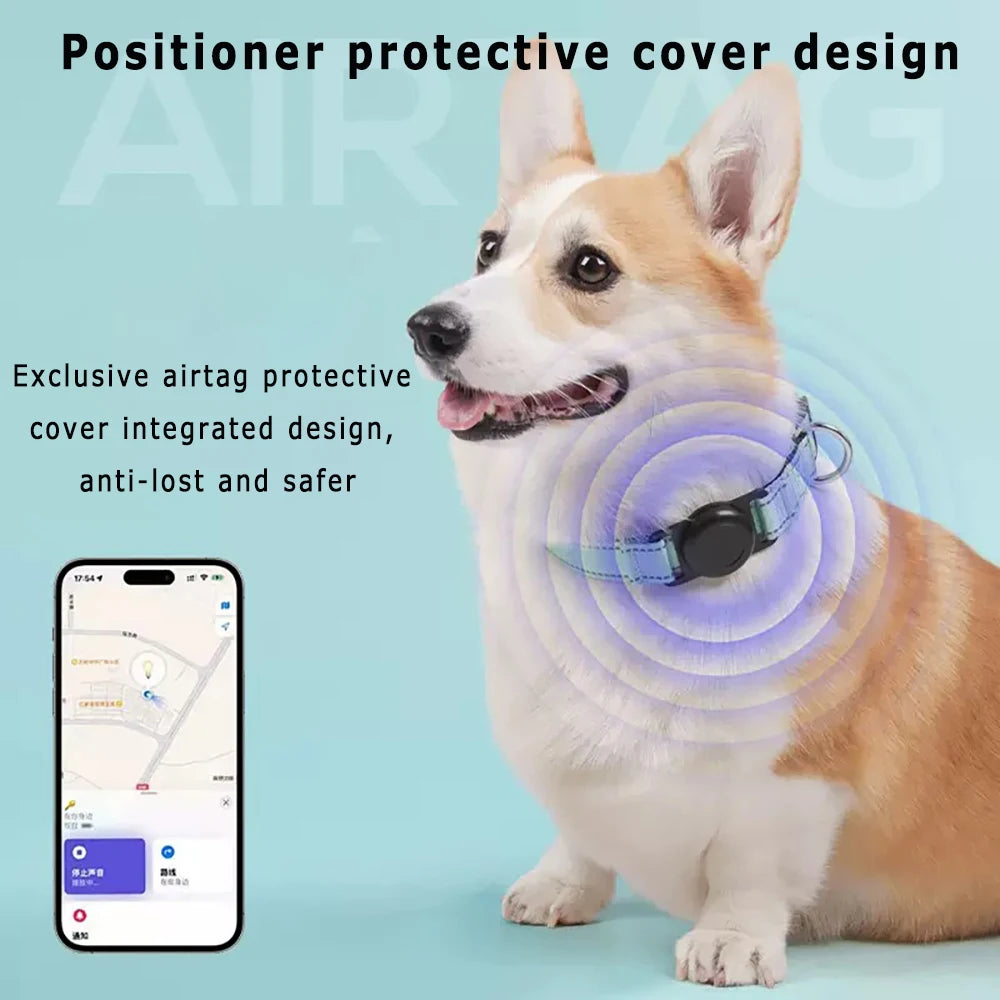 Dog Collar with AirTag Holder — GPS-Ready Safety Collar| MyPupBuddy