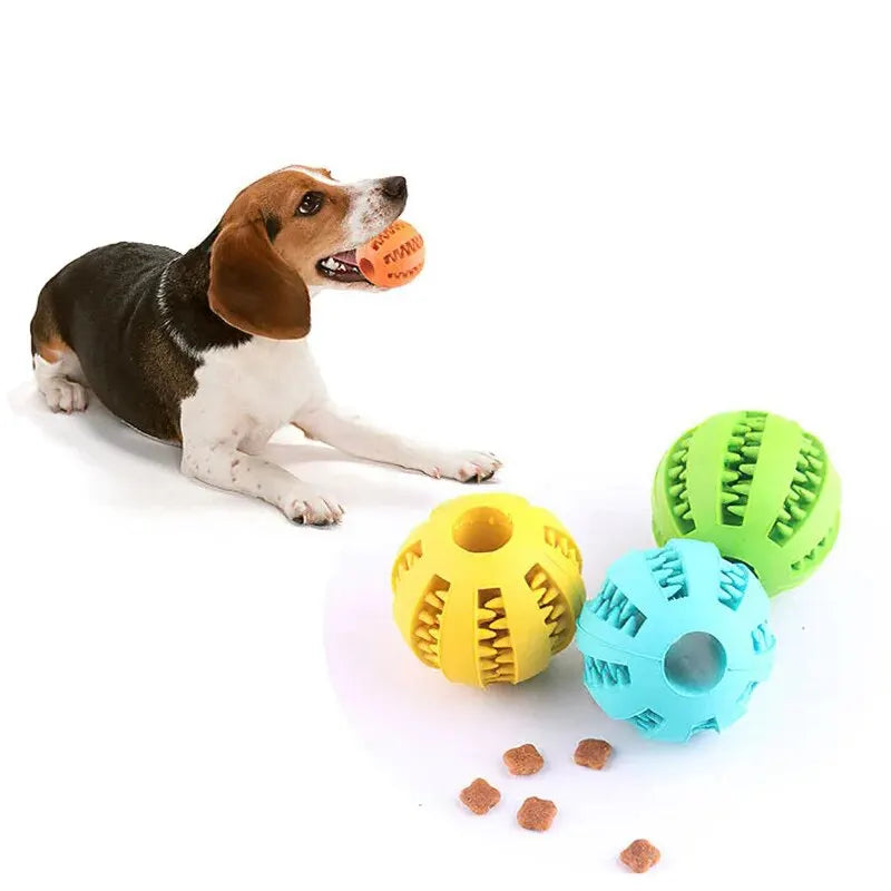 Treat Dispensing Dog Toy Ball | MyPupBuddy