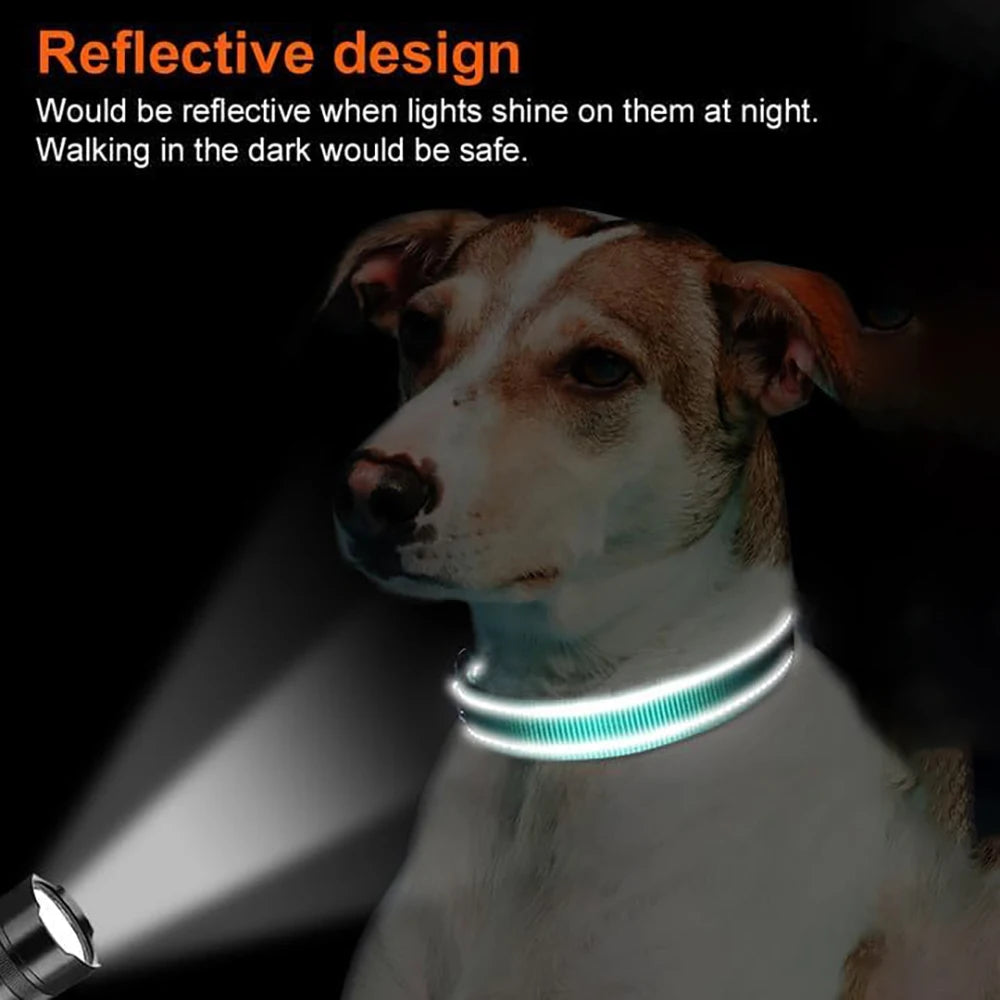 Dog Collar with AirTag Holder — GPS-Ready Safety Collar| MyPupBuddy