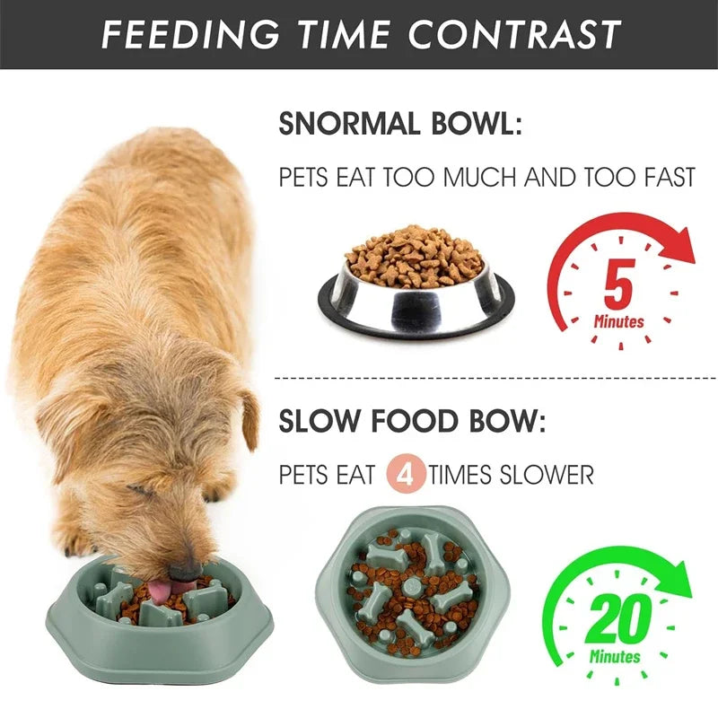 Slow Feeder Dog Bowl — Anti-Choke Puzzle Bowl | MyPupBuddy