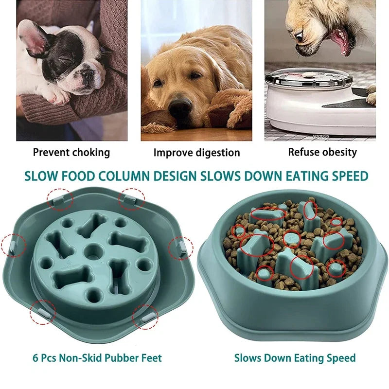 Slow Feeder Dog Bowl — Anti-Choke Puzzle Bowl | MyPupBuddy