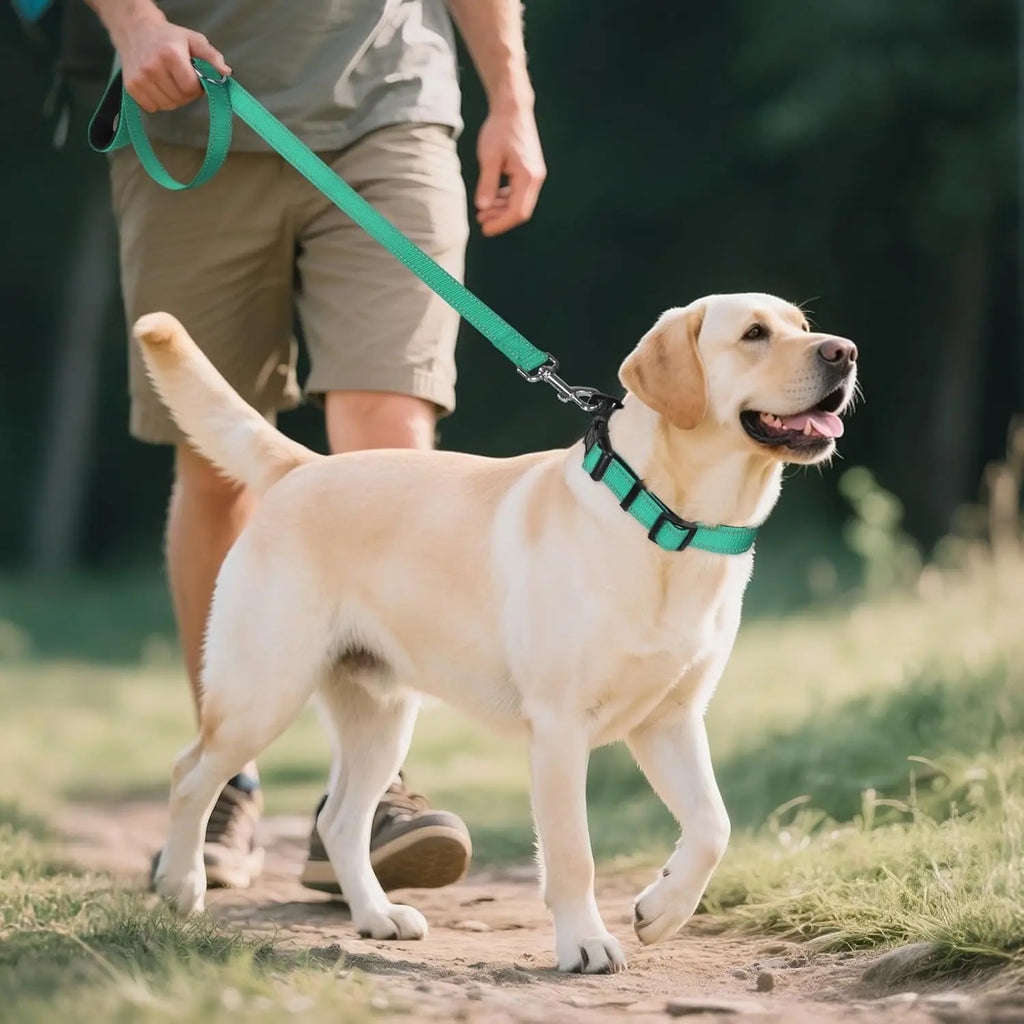 Dog Collar with AirTag Holder — GPS-Ready Safety Collar| MyPupBuddy