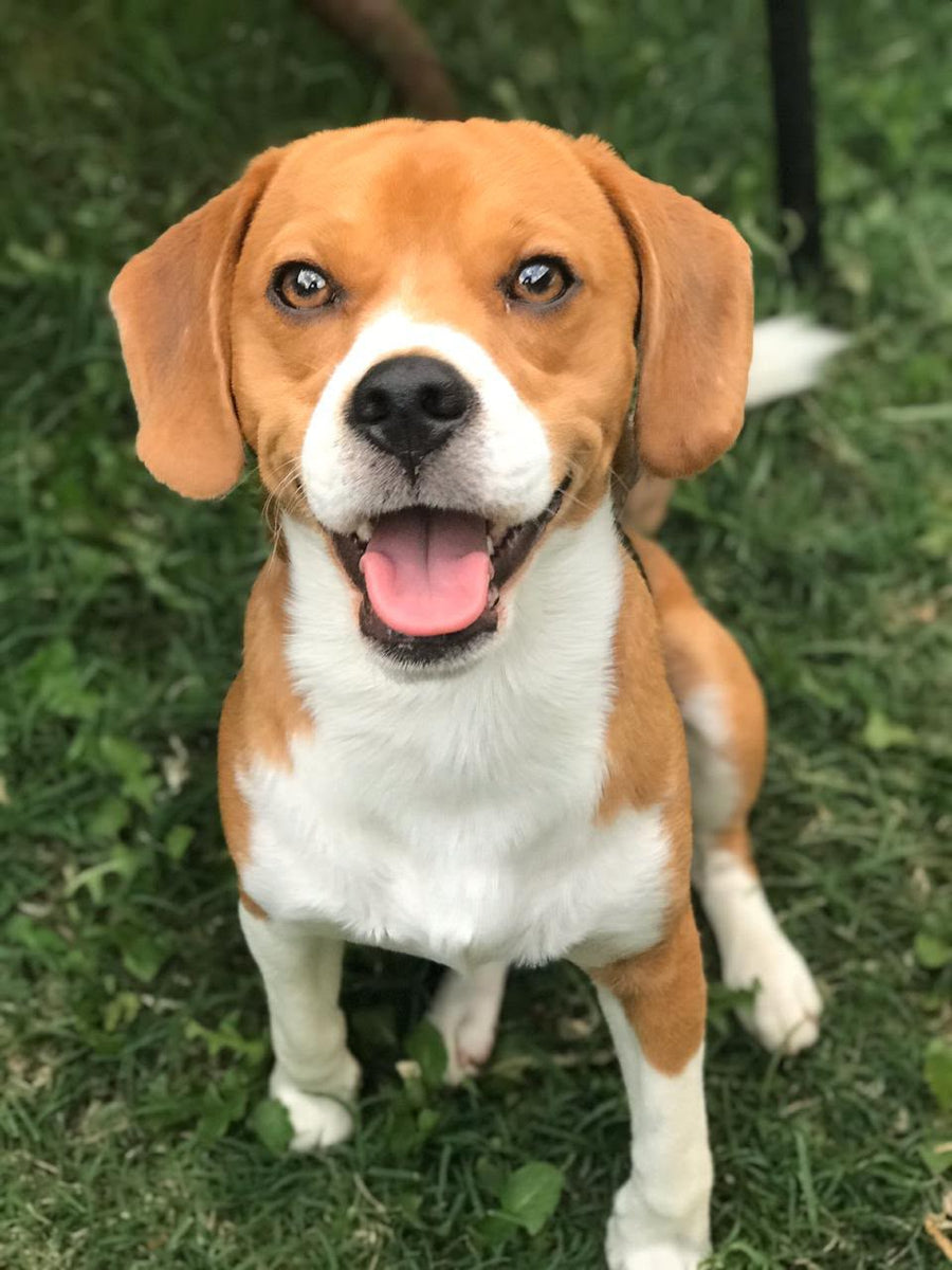 Gero happy